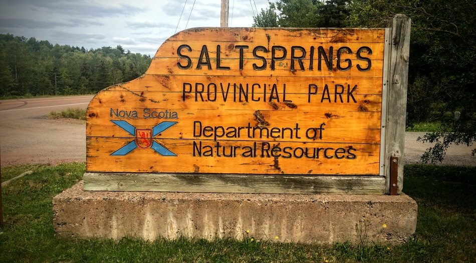 SaltSprings Park Sign.jpg